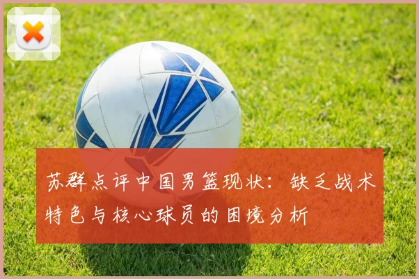 苏群点评中国男篮现状：缺乏战术特色与核心球员的困境分析
