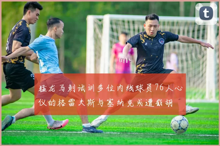 猛龙马刺试训多位内线球员76人心仪的格雷夫斯与塞纳克或遭截胡
